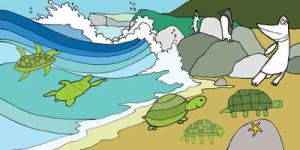 Board-4-drawing-coloured