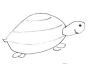 Turtle-1