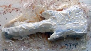 Covering-the-clay-with-latex